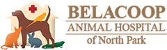 BelaCoop Animal Hospital